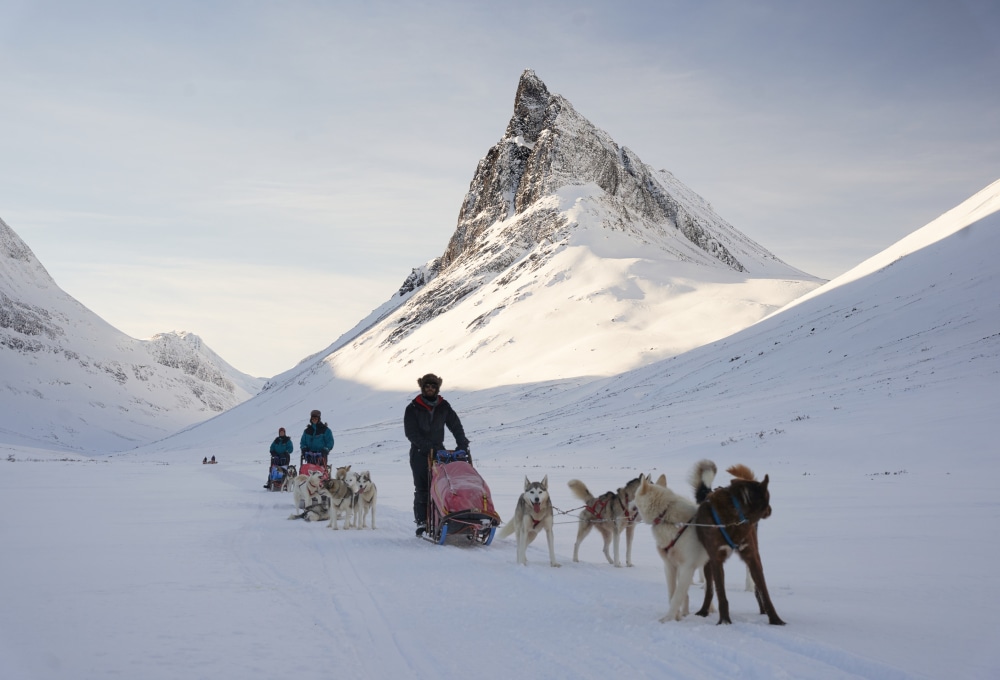 Zurück zur Baumgrenze